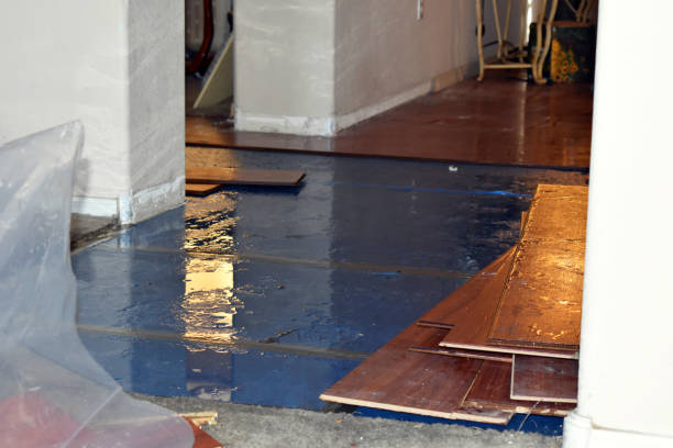 Professional Basement Flood Cleanup technician working in Le Mars, IA